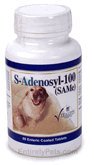 Chewable Tablets 60 ct X764