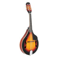 A Style Mandolin Musical Instrument with Guard Board R609520