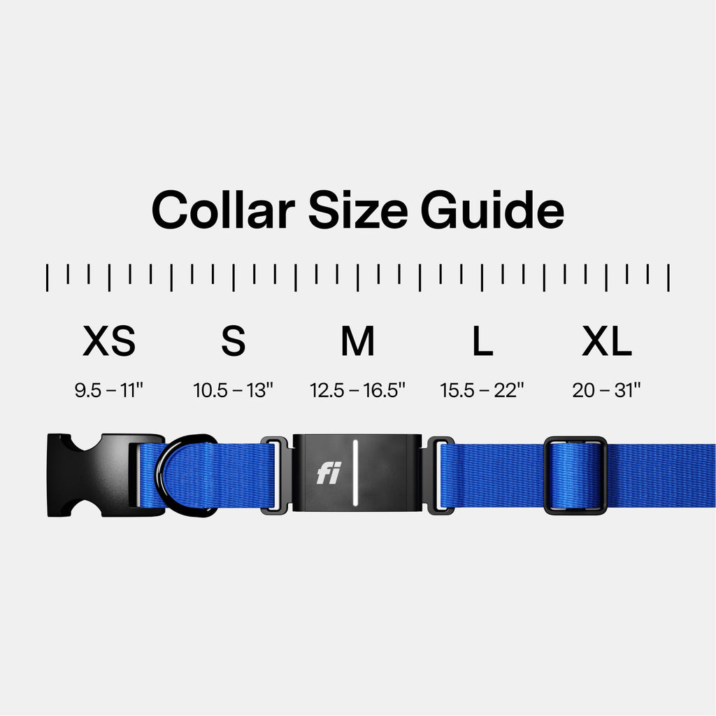 GPS Dog Collar & Tracker C42364