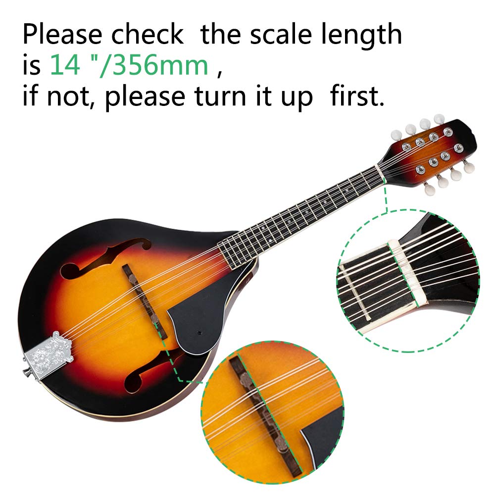 A Style Mandolin Musical Instrument with Guard Board R609520