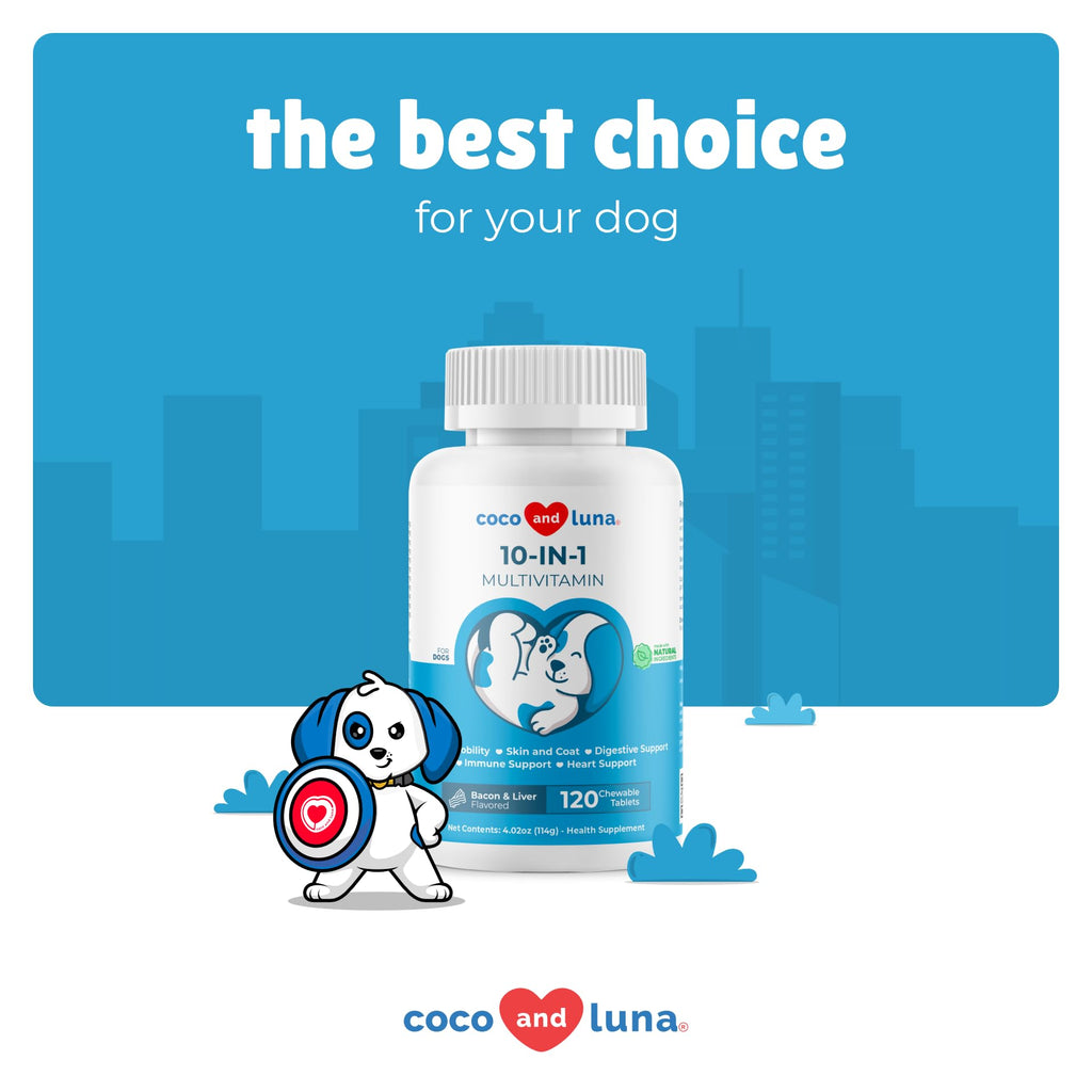 Milk Thistle Multivitamin for Dogs B301777