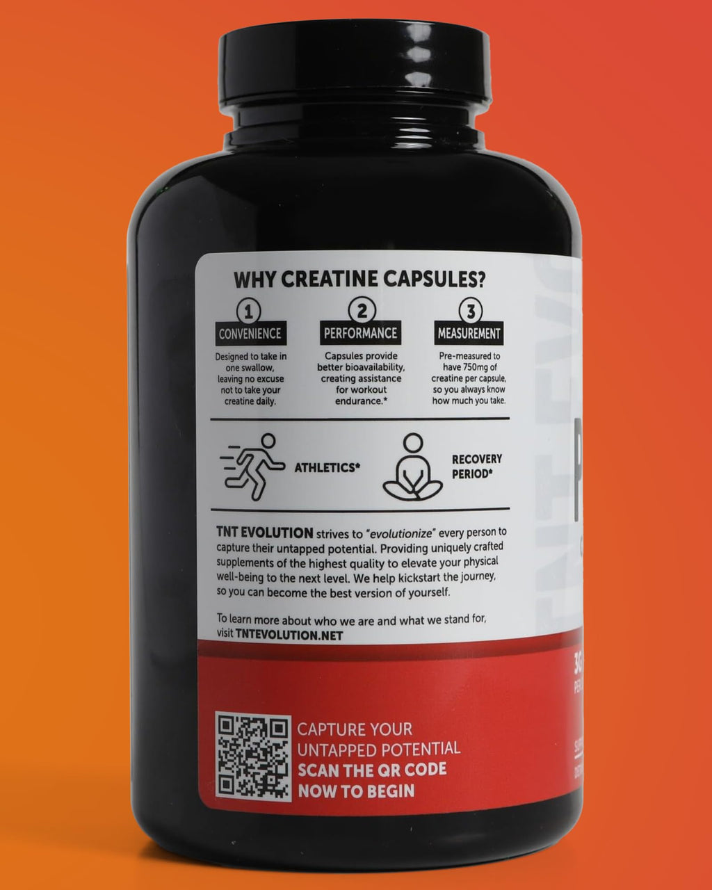 Creatine Monohydrate Capsules 750mg 240 Count Gluten Free D713