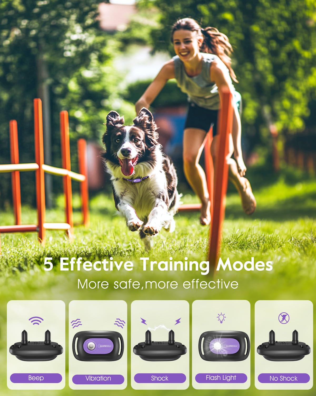 Dog Shock Collar 2 Dogs N564
