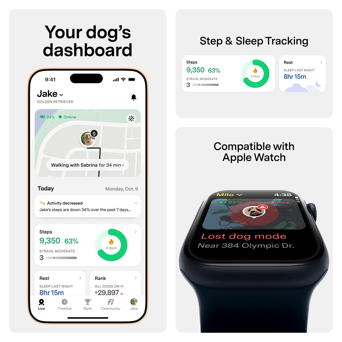 GPS Dog Collar & Tracker C42364