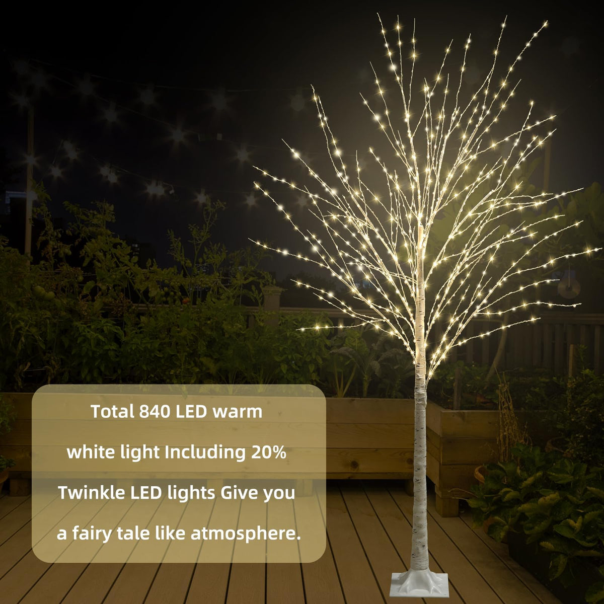 6FT Lighted Birch Tree O278