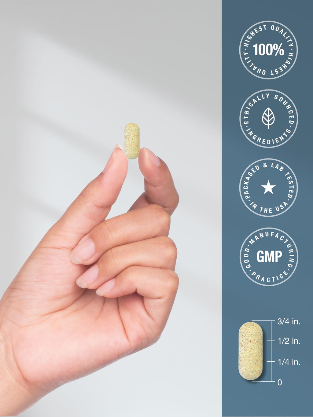 Glucosamine Chondroitin MSM 360 Caplets D7874