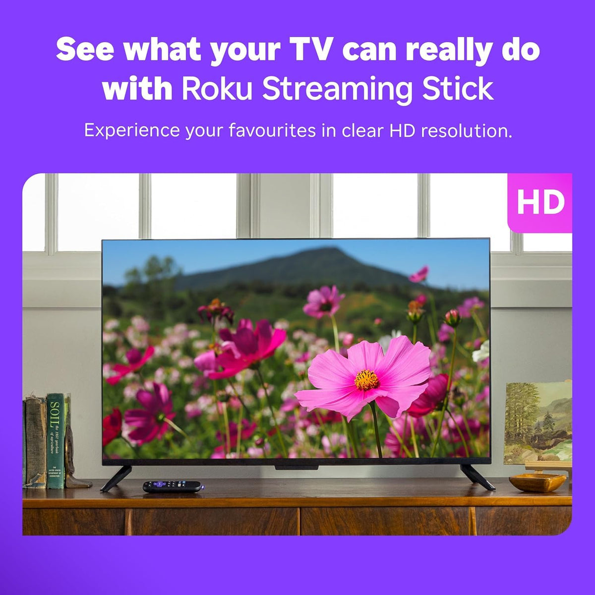 HD Streaming Stick with Voice Remote R733527