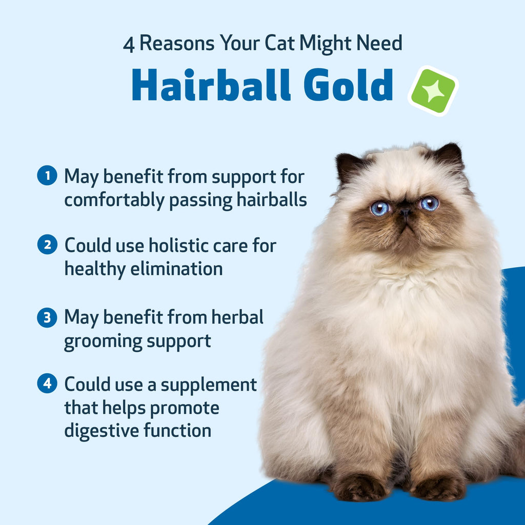 Hairball & Digestive Support 2 oz V409