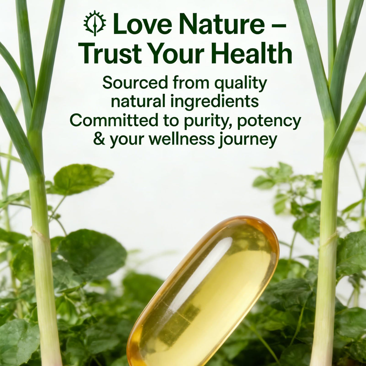 Aged Garlic Extract 300 Softgels A341