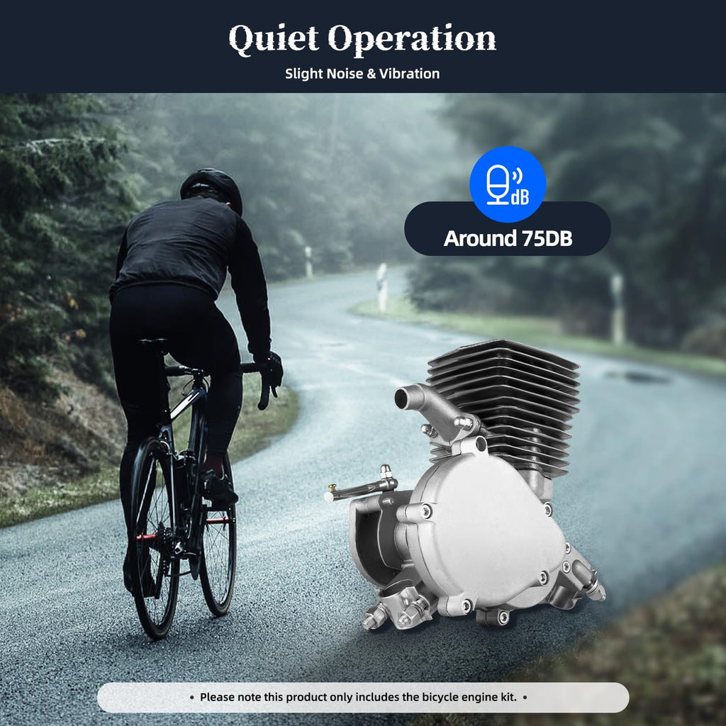 100CC 2 Stroke Bicycle Engine Kit with Air-cooling System Q623