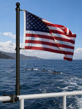 2.5FT Stainless Steel Boat Flag Pole Kit S2227