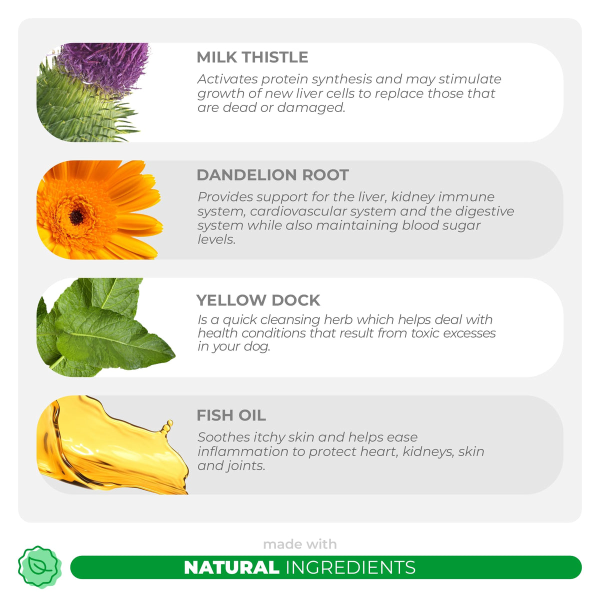Milk Thistle Multivitamin for Dogs B301777