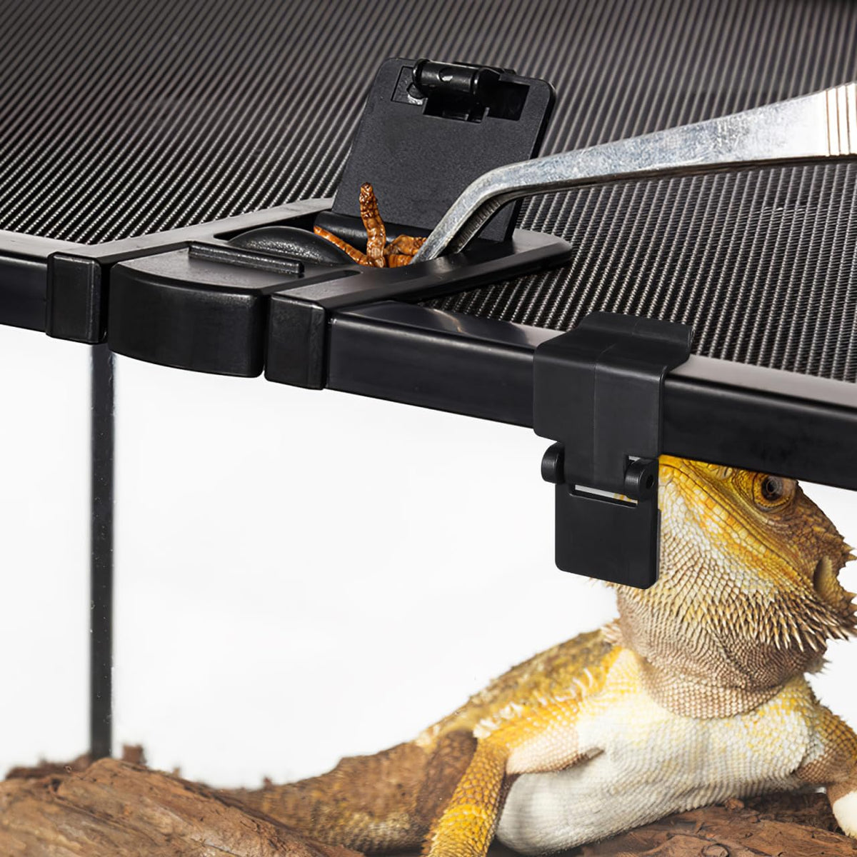 6Pcs Plastic Reptile Terrarium Screen Clips J839833