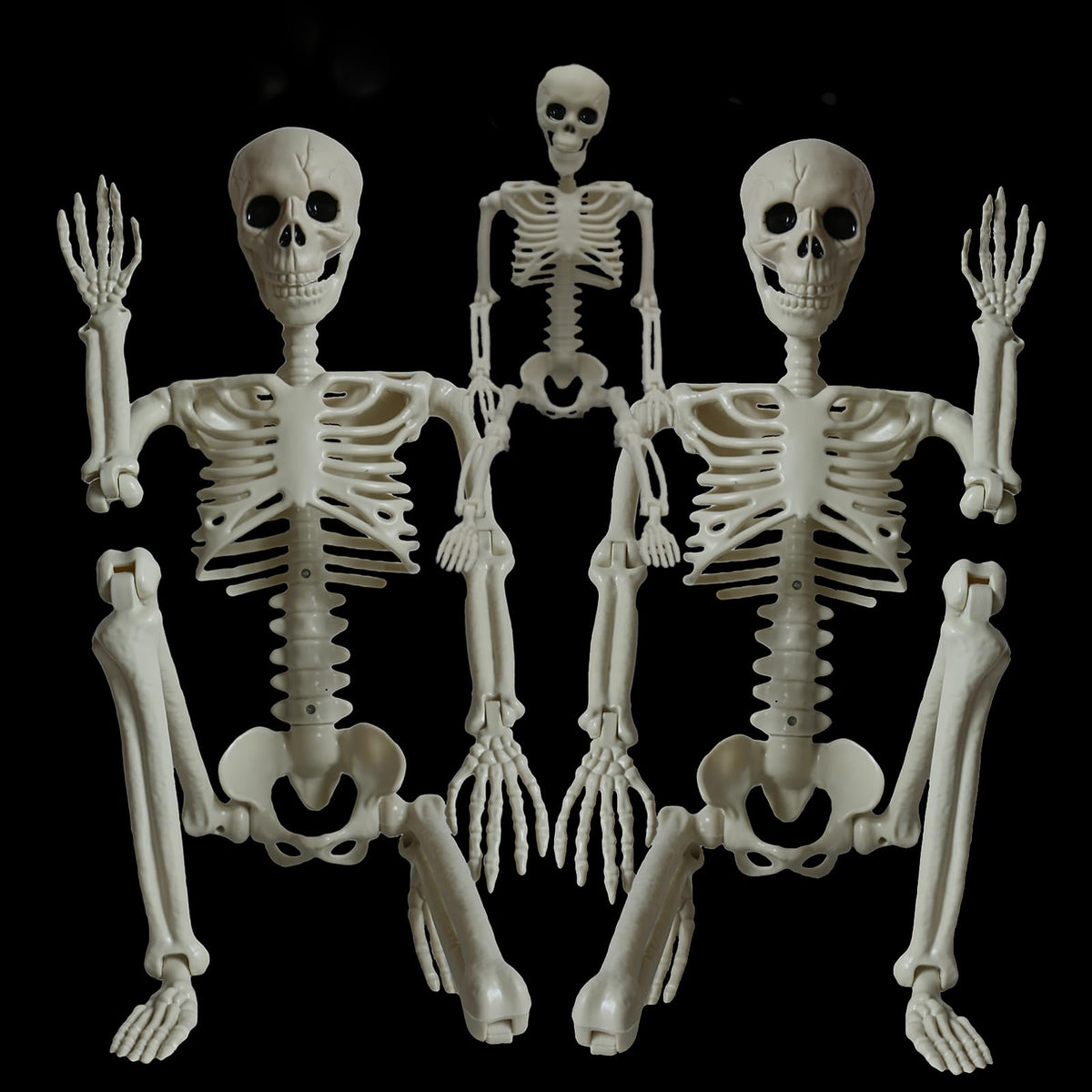 2Pcs 36" 1Pcs 16" Posable Plastic Skeleton D545857