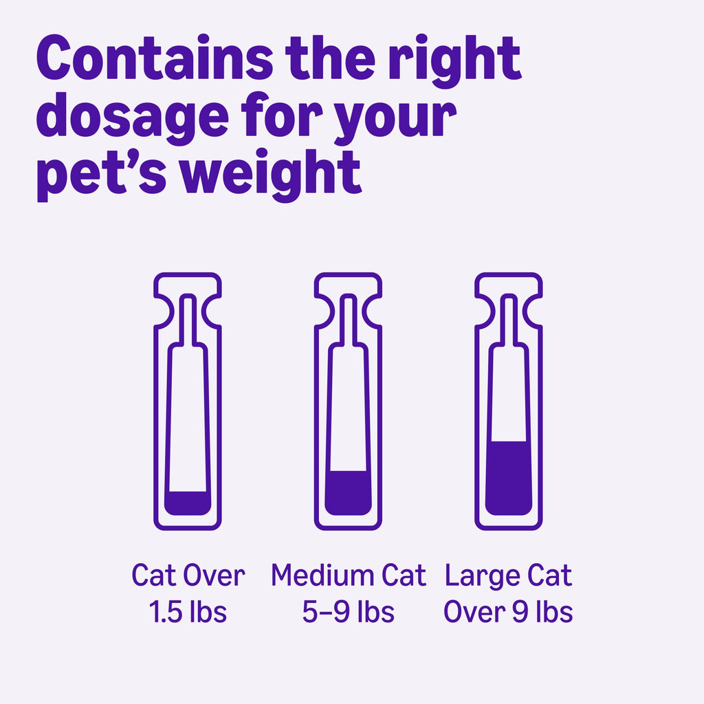 Topical Flea Treatment and Prevention for Large Cats, 6 Count R278793