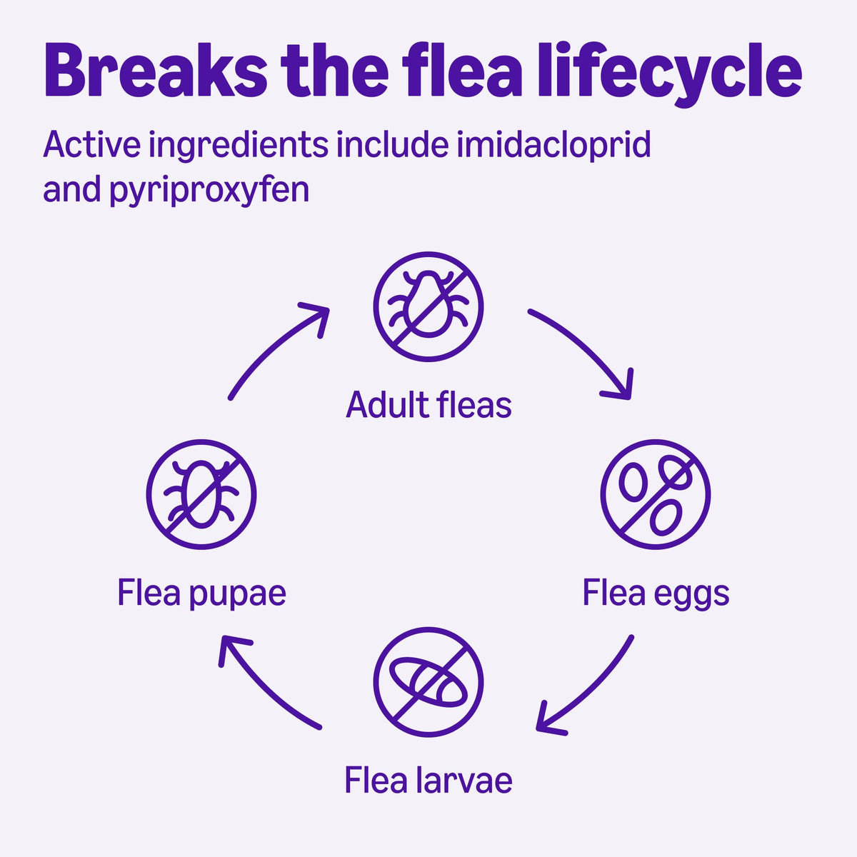 Topical Flea Treatment and Prevention for Large Cats, 6 Count R278793