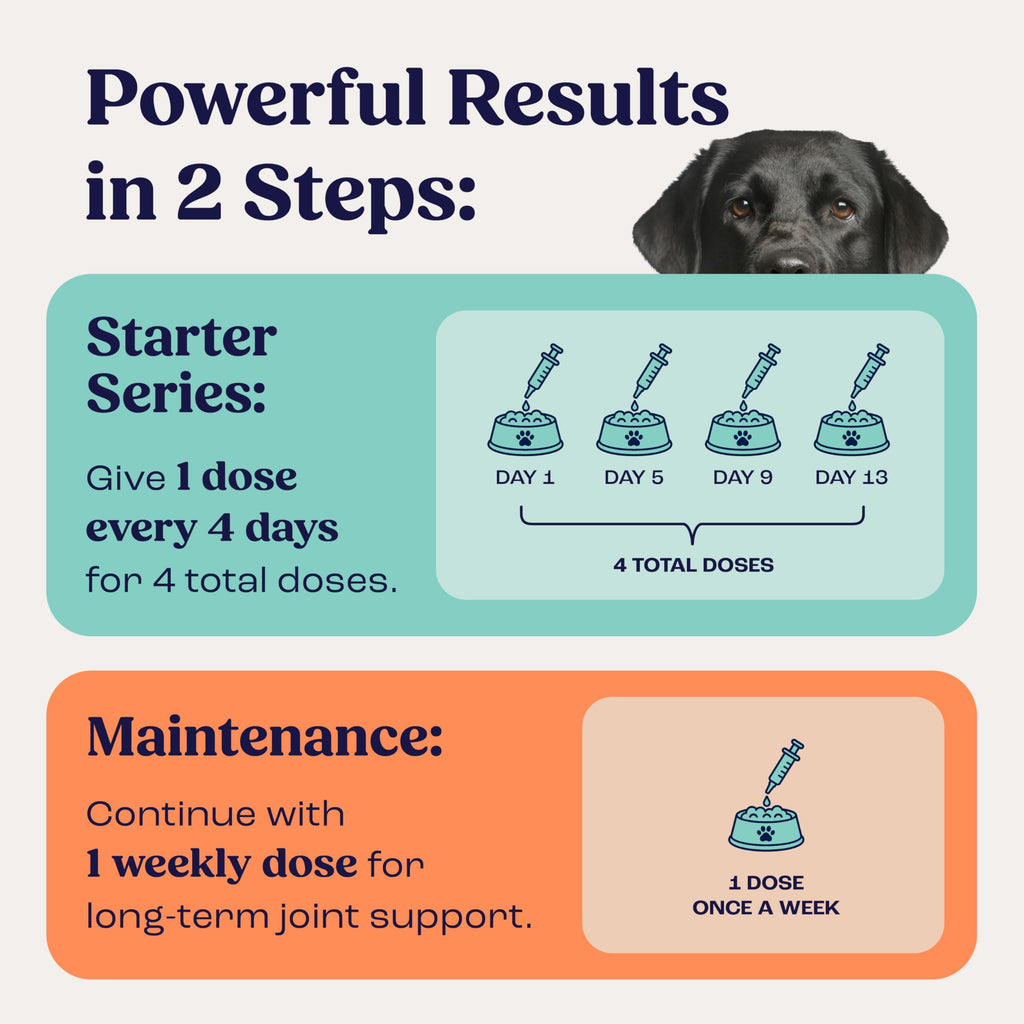 Liquid Joint and Mobility Supplement for Large Dogs W37500