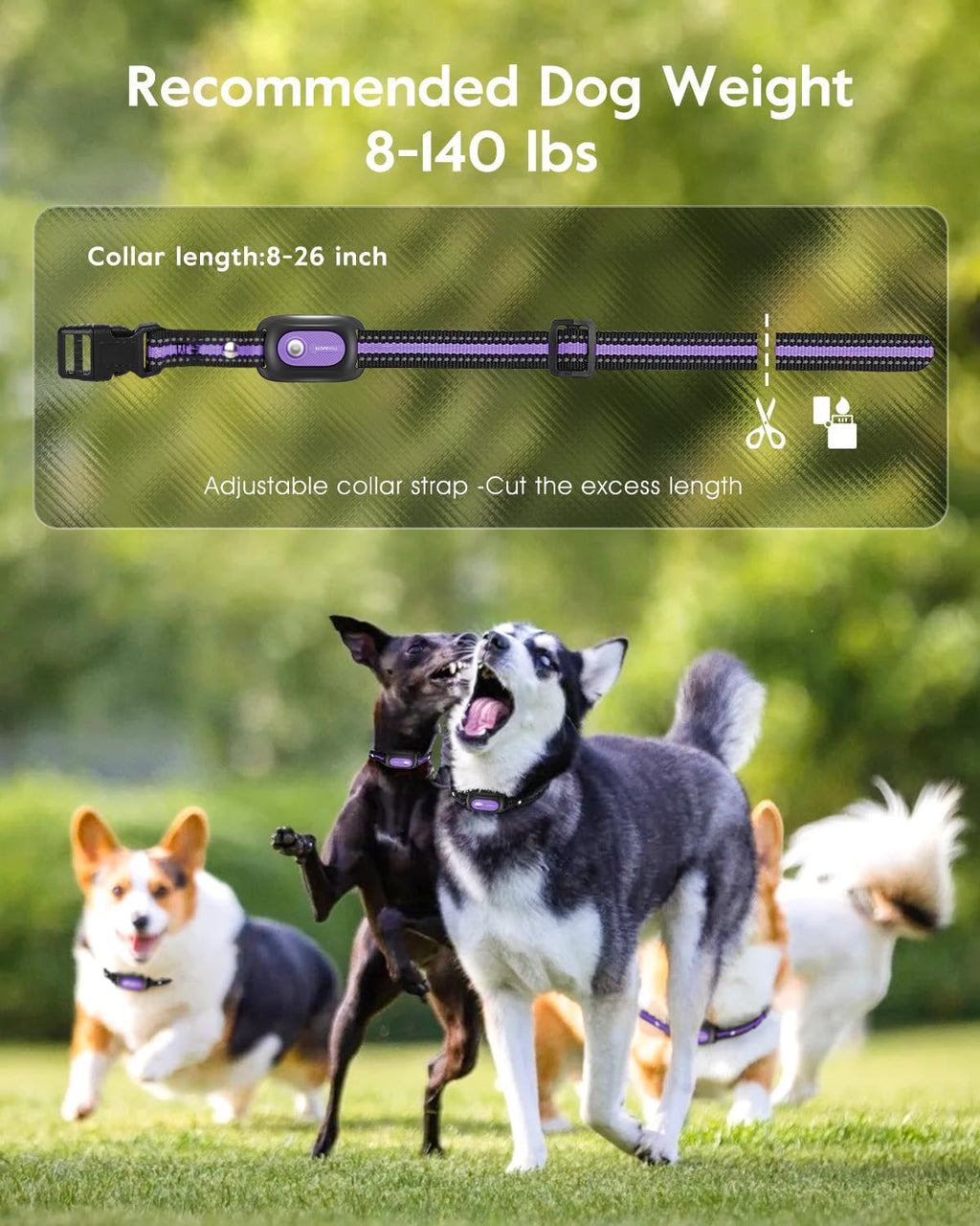 Dog Shock Collar 2 Dogs N564