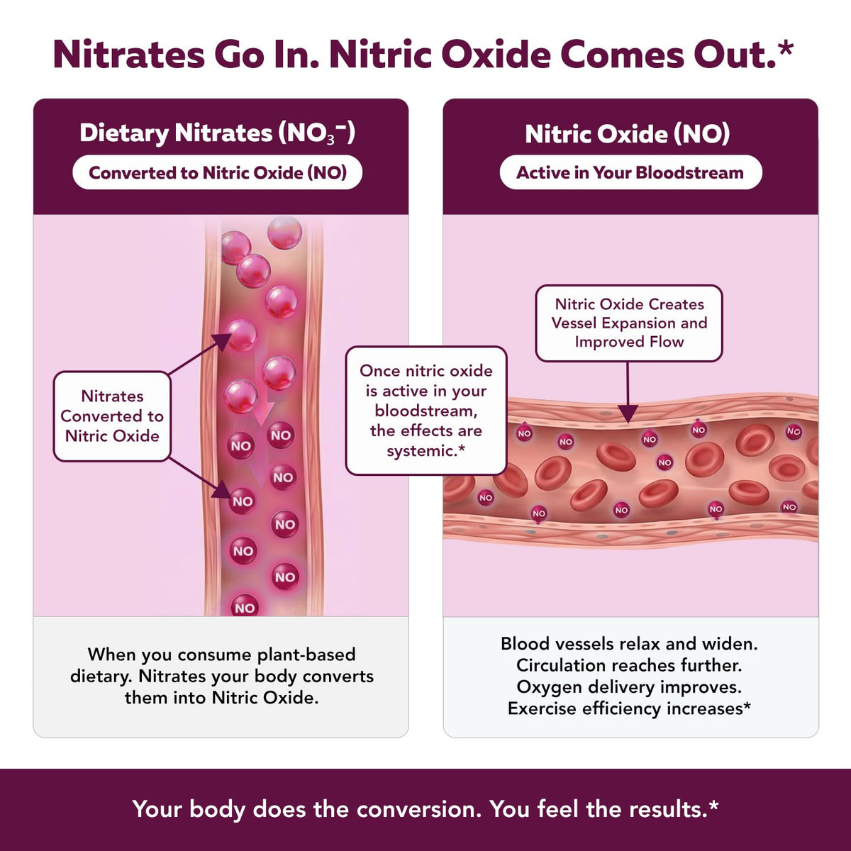 Nitrate Supplement 135mg 90 Capsules G719258