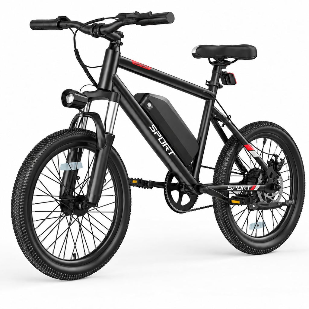 Electric Bike for Adults 1000W Peak Motor 20"/26" Mountain Ebike R7688