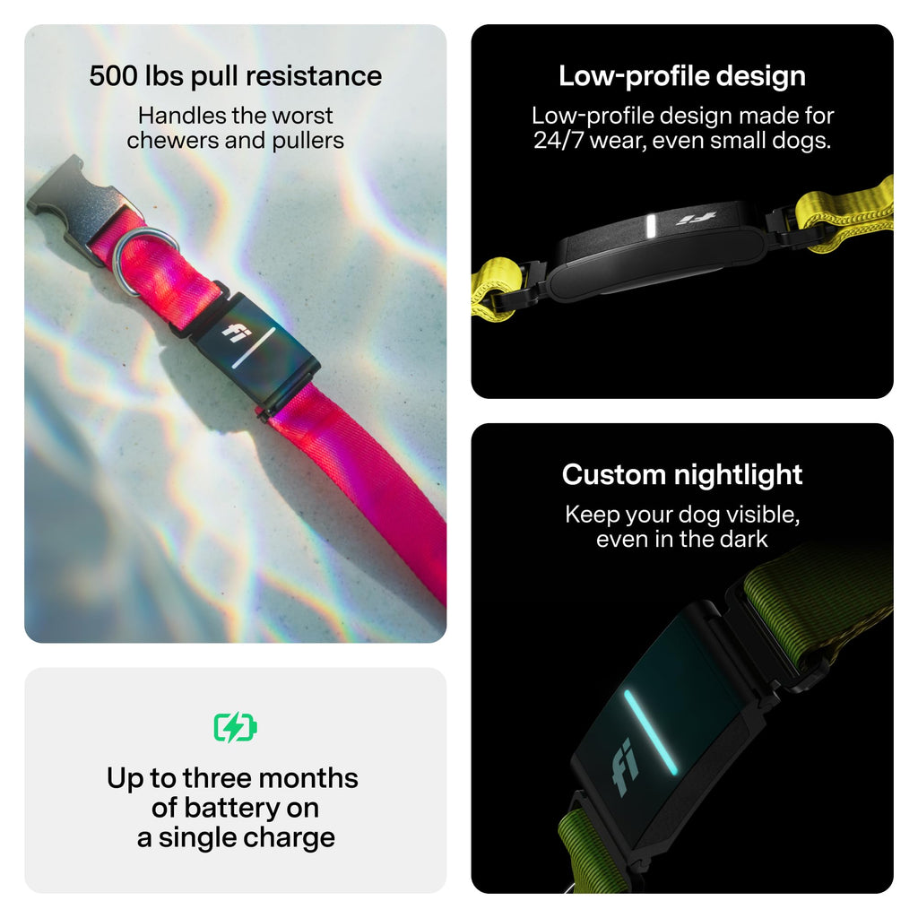 GPS Dog Collar & Tracker C42364