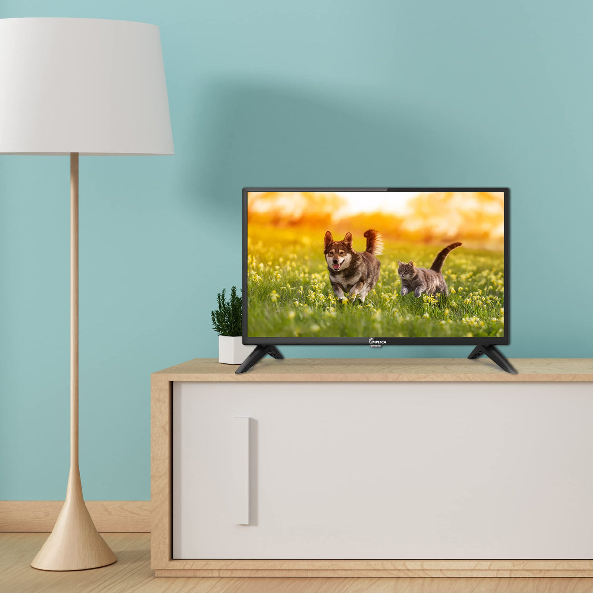 24 inch HD 720p LED TV E942