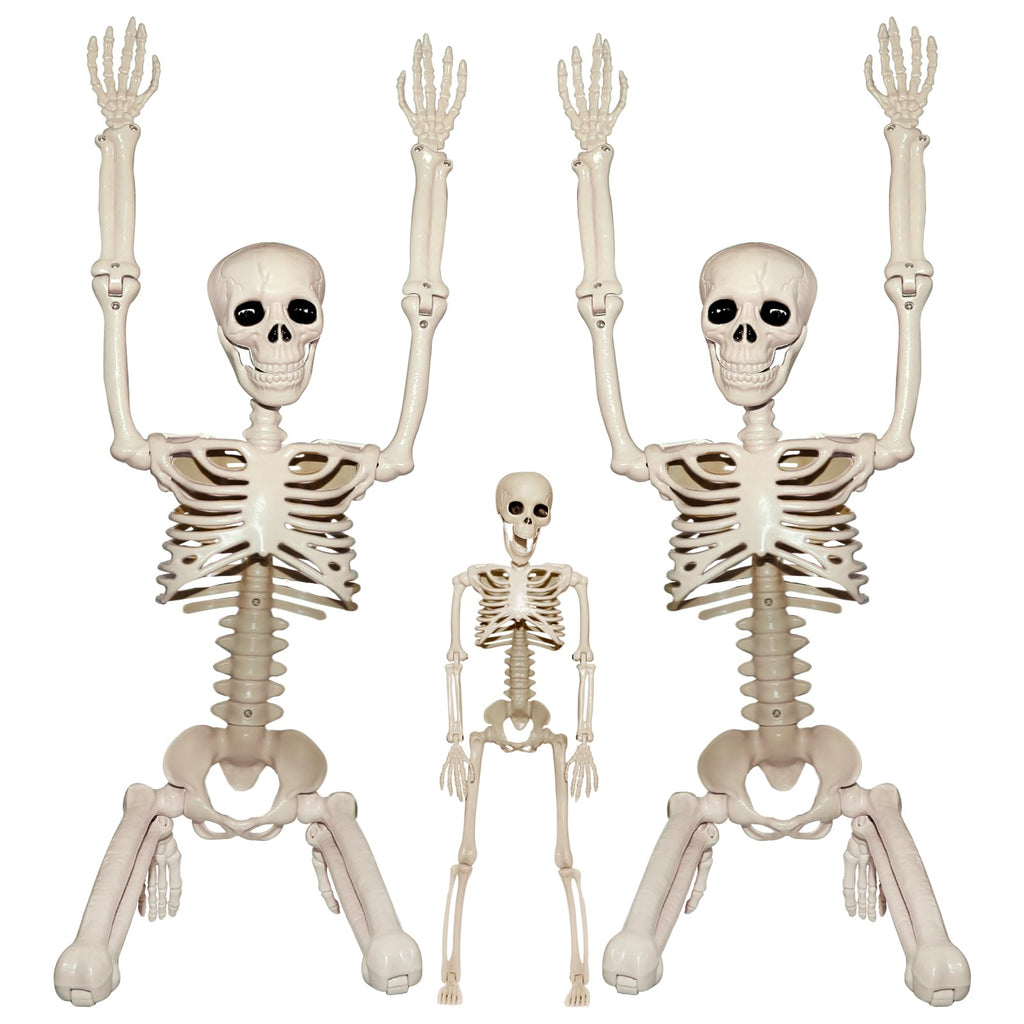 2Pcs 36" 1Pcs 16" Posable Plastic Skeleton D545857