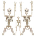 2Pcs 36" 1Pcs 16" Posable Plastic Skeleton D545857
