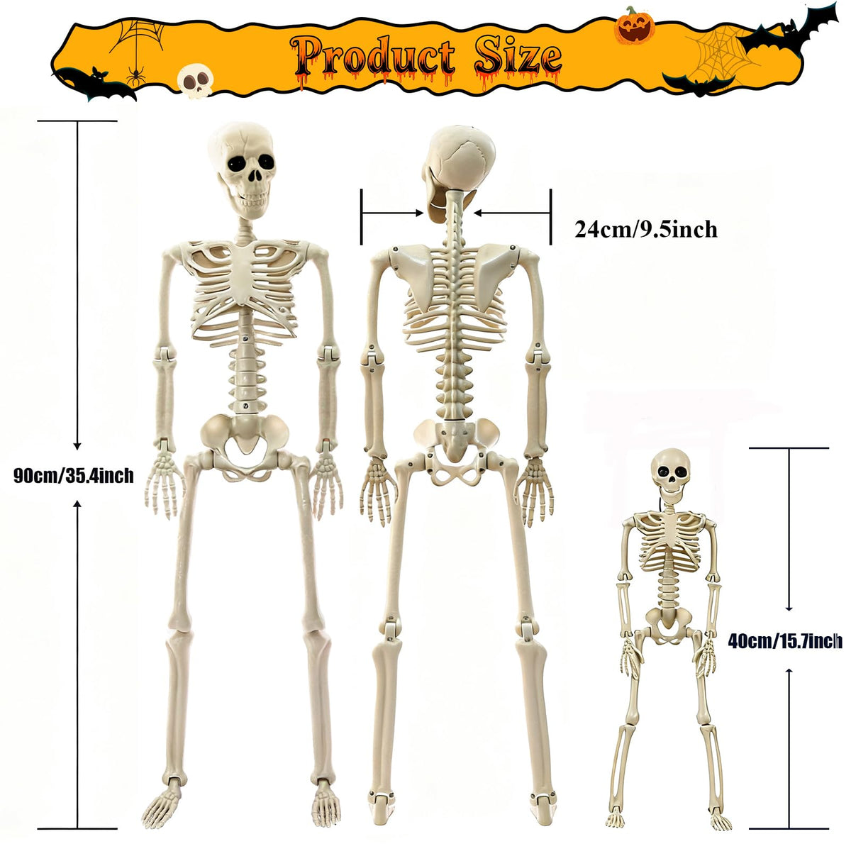 2Pcs 36" 1Pcs 16" Posable Plastic Skeleton D545857