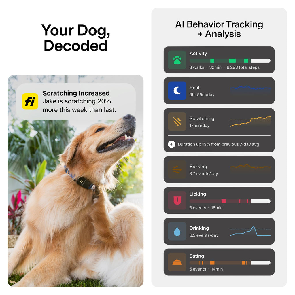 GPS Dog Collar & Tracker C42364