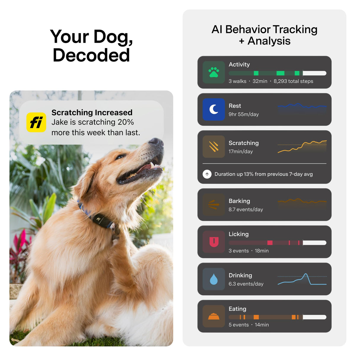 GPS Dog Collar & Tracker C42364