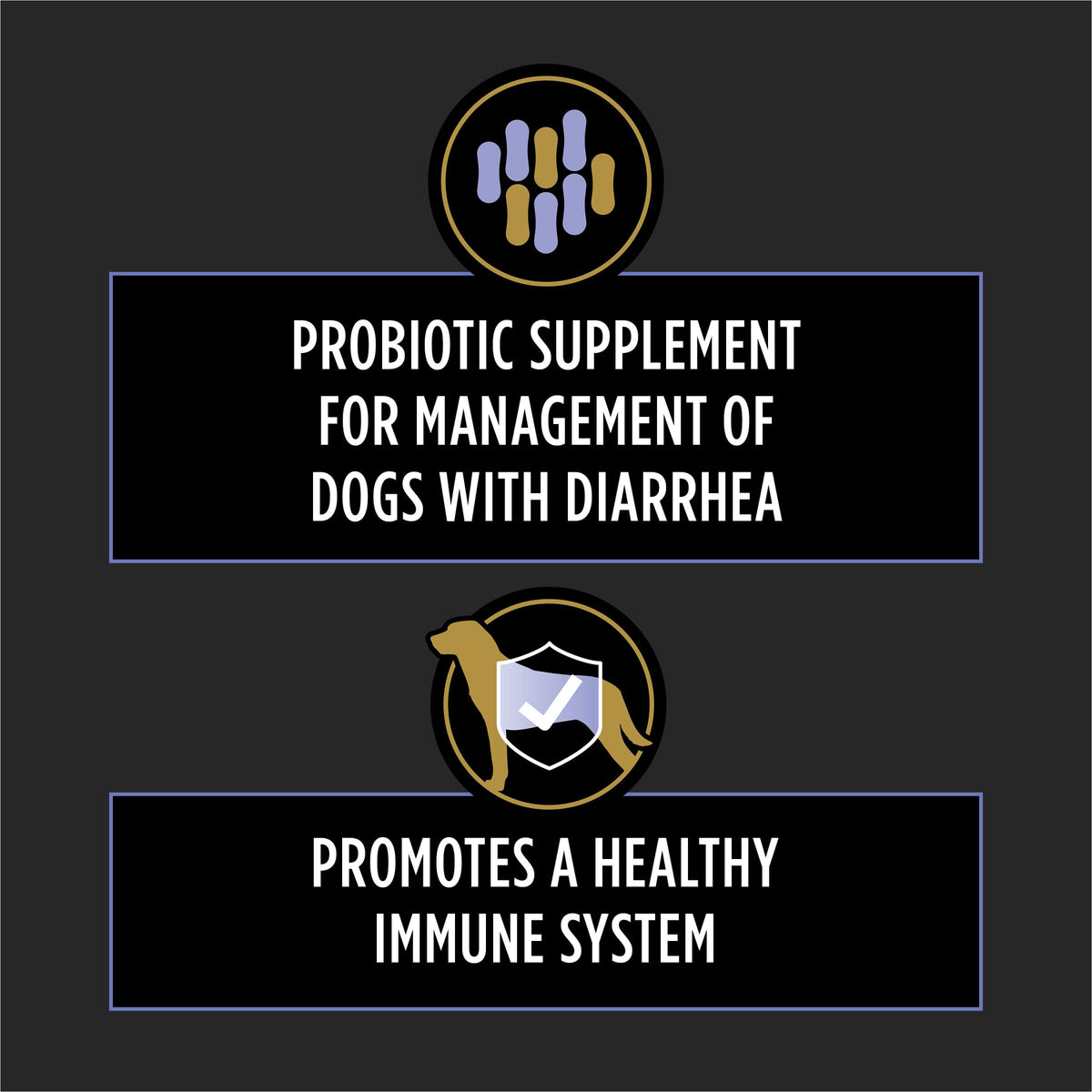Probiotic Dog Tablets 45 Count E231219