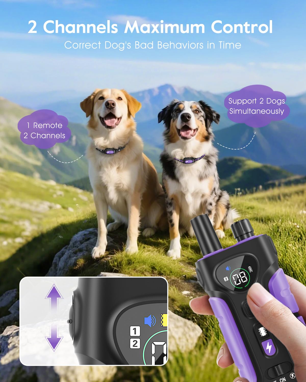Dog Shock Collar 2 Dogs N564