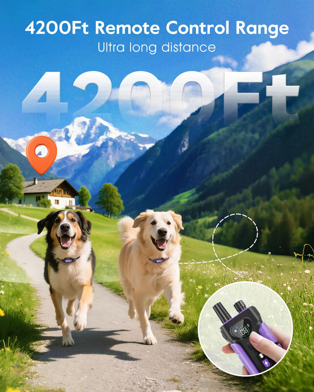 Dog Shock Collar 2 Dogs N564