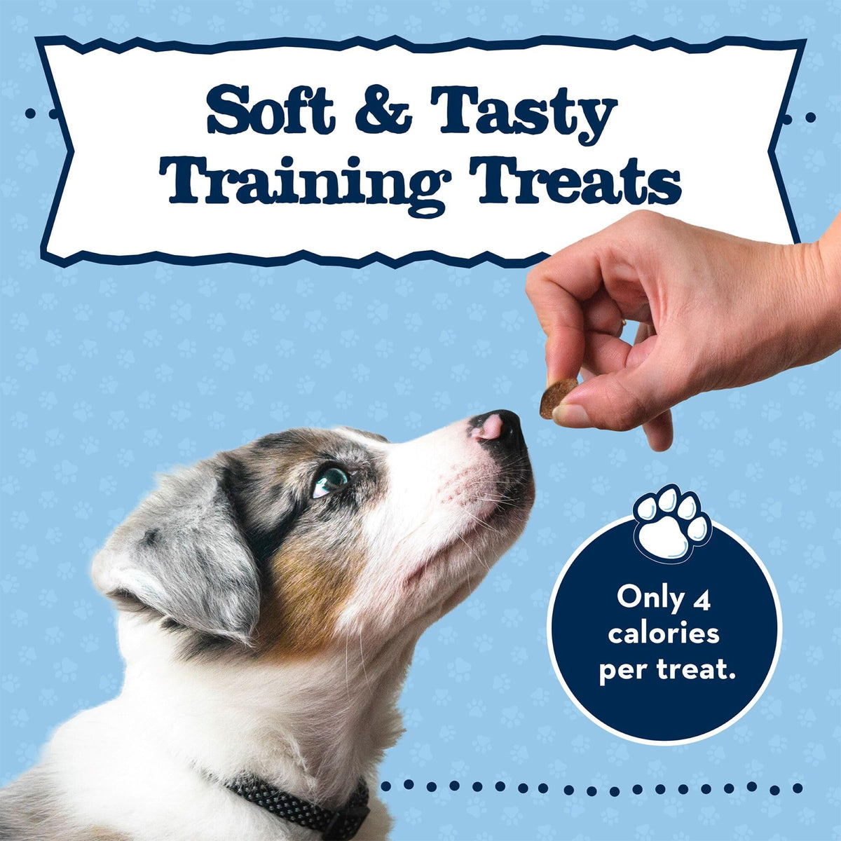 Chicken Puppy Training Treats, 4 oz D12871