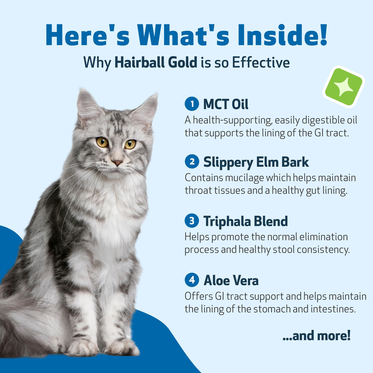 Hairball & Digestive Support 2 oz V409