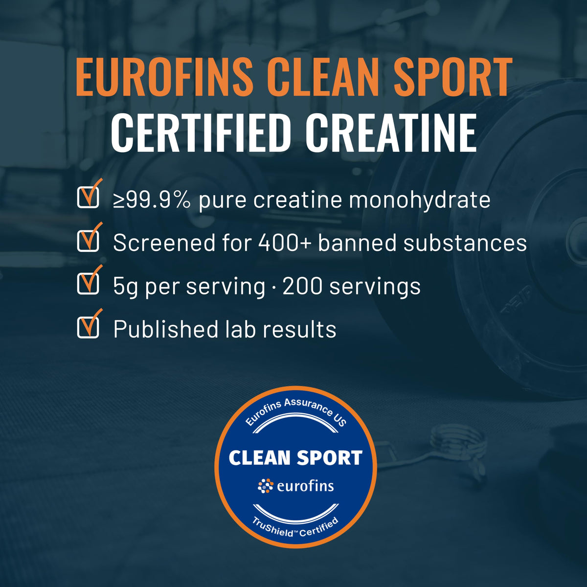 Unflavored Micronized Creatine Monohydrate Powder 1kg S32747