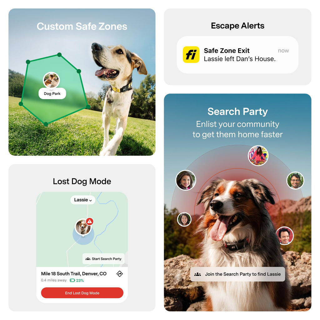 GPS Dog Collar & Tracker C42364
