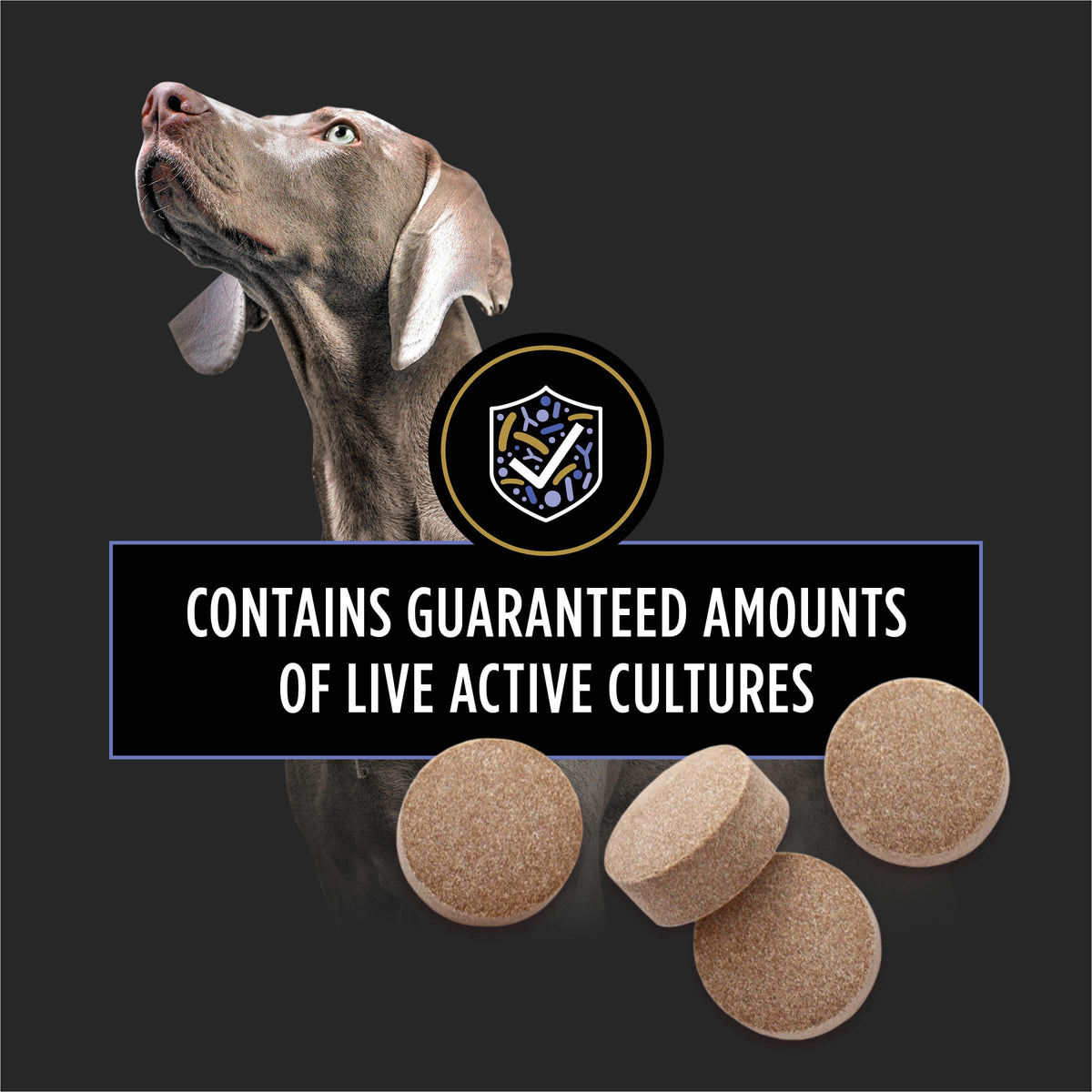 Probiotic Dog Tablets 45 Count E231219