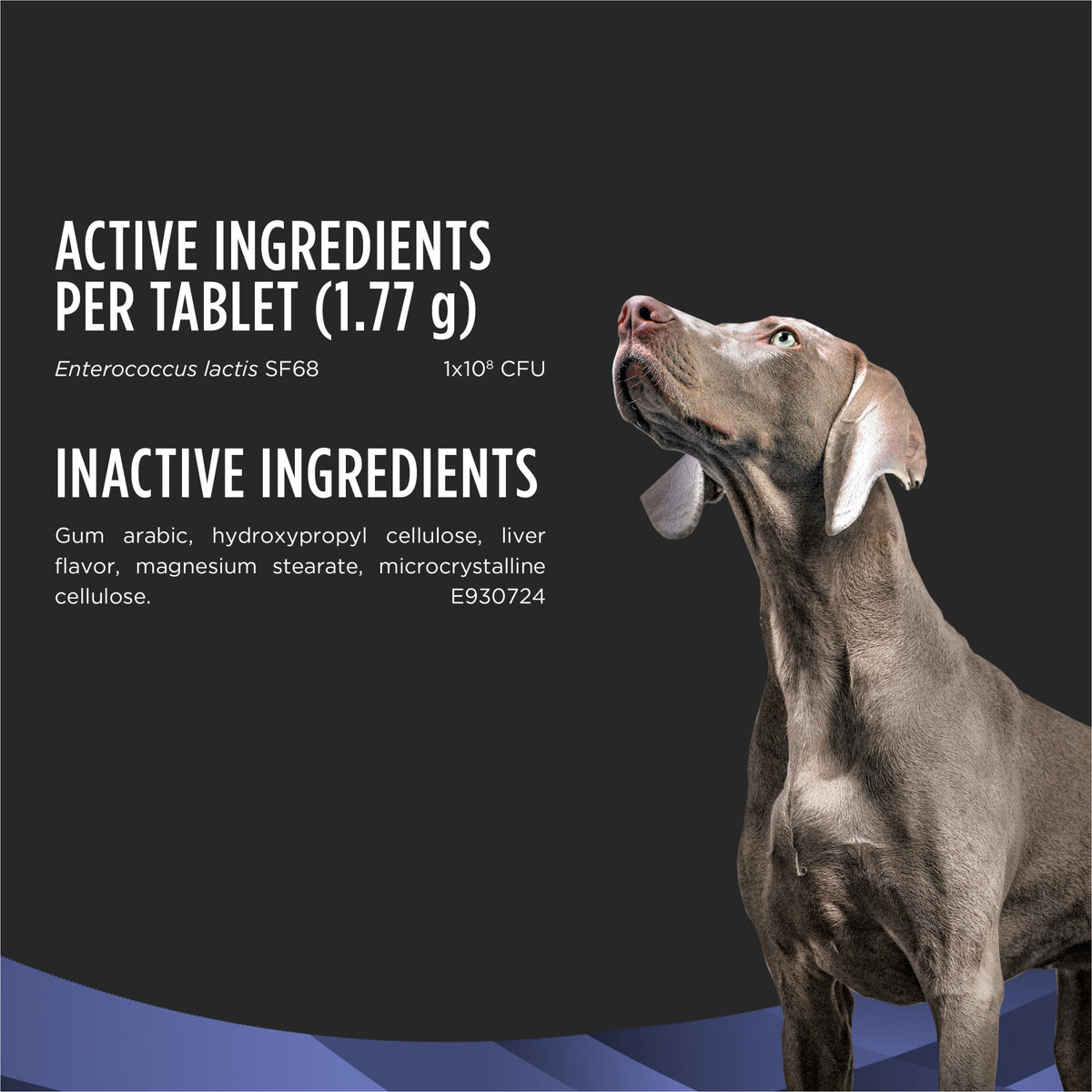 Probiotic Dog Tablets 45 Count E231219