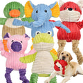 5 Pack Stuffed Squeaky Plush Dog Toys H50905