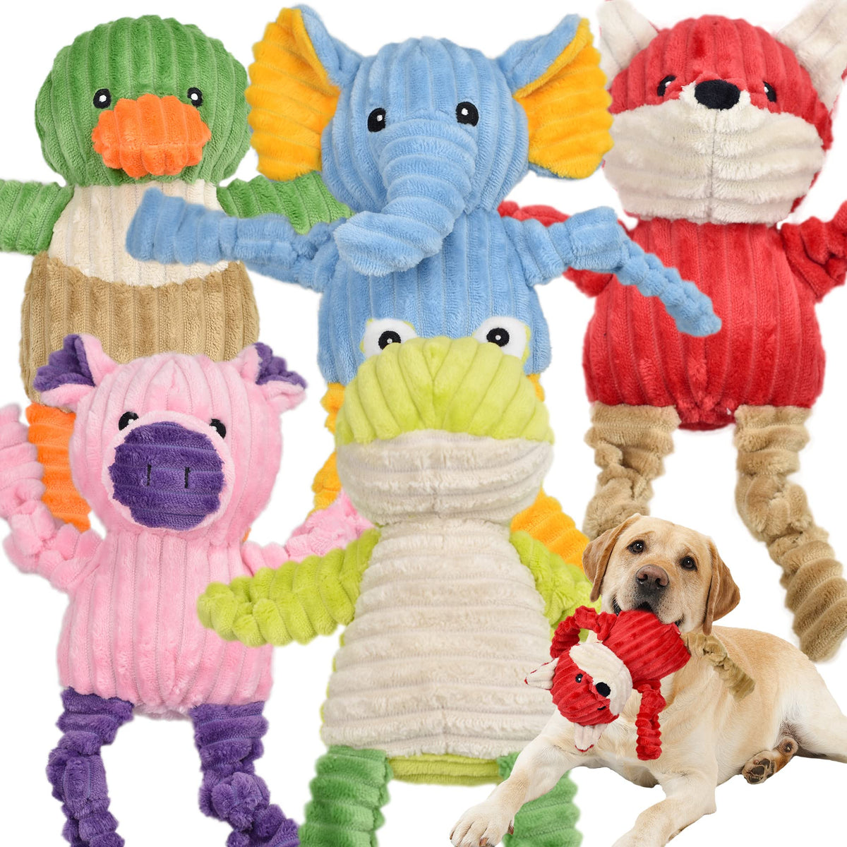 5 Pack Stuffed Squeaky Plush Dog Toys H50905