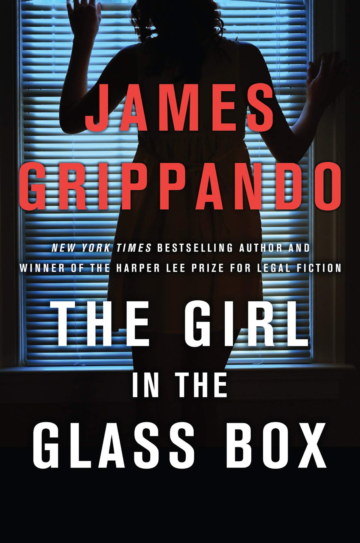 Legal Thriller G9927