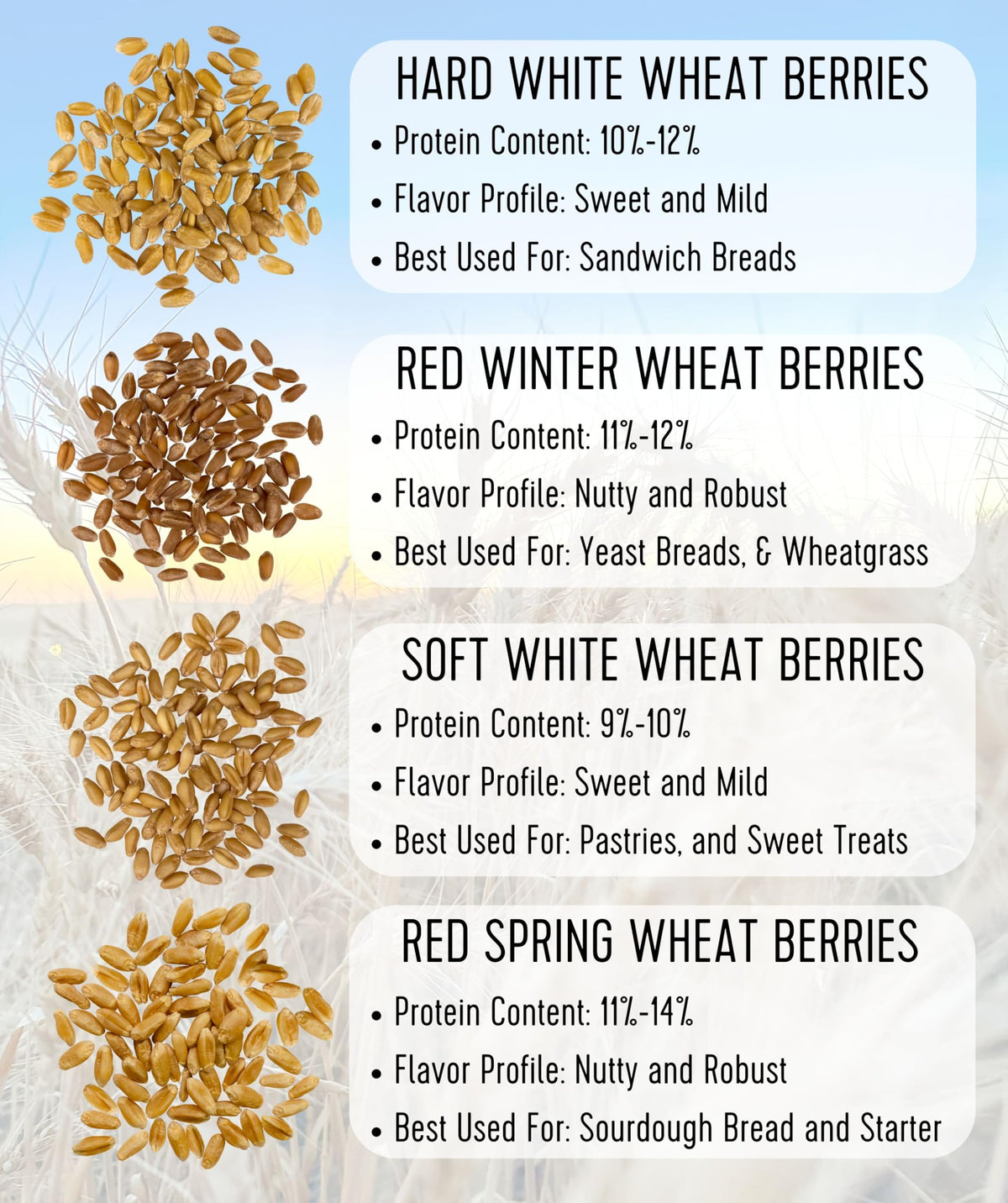 Hard Red Winter Wheat Berries 25 LBS Bucket L75322