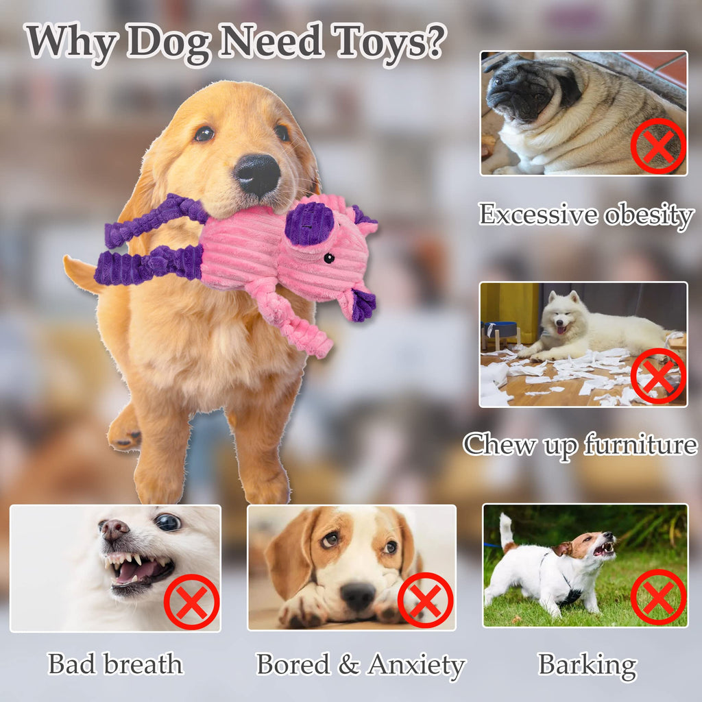 5 Pack Stuffed Squeaky Plush Dog Toys H50905