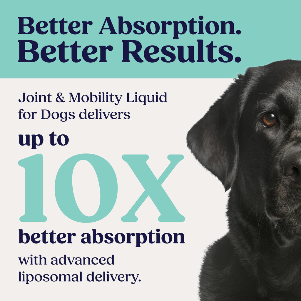 Liquid Joint and Mobility Supplement for Large Dogs W37500